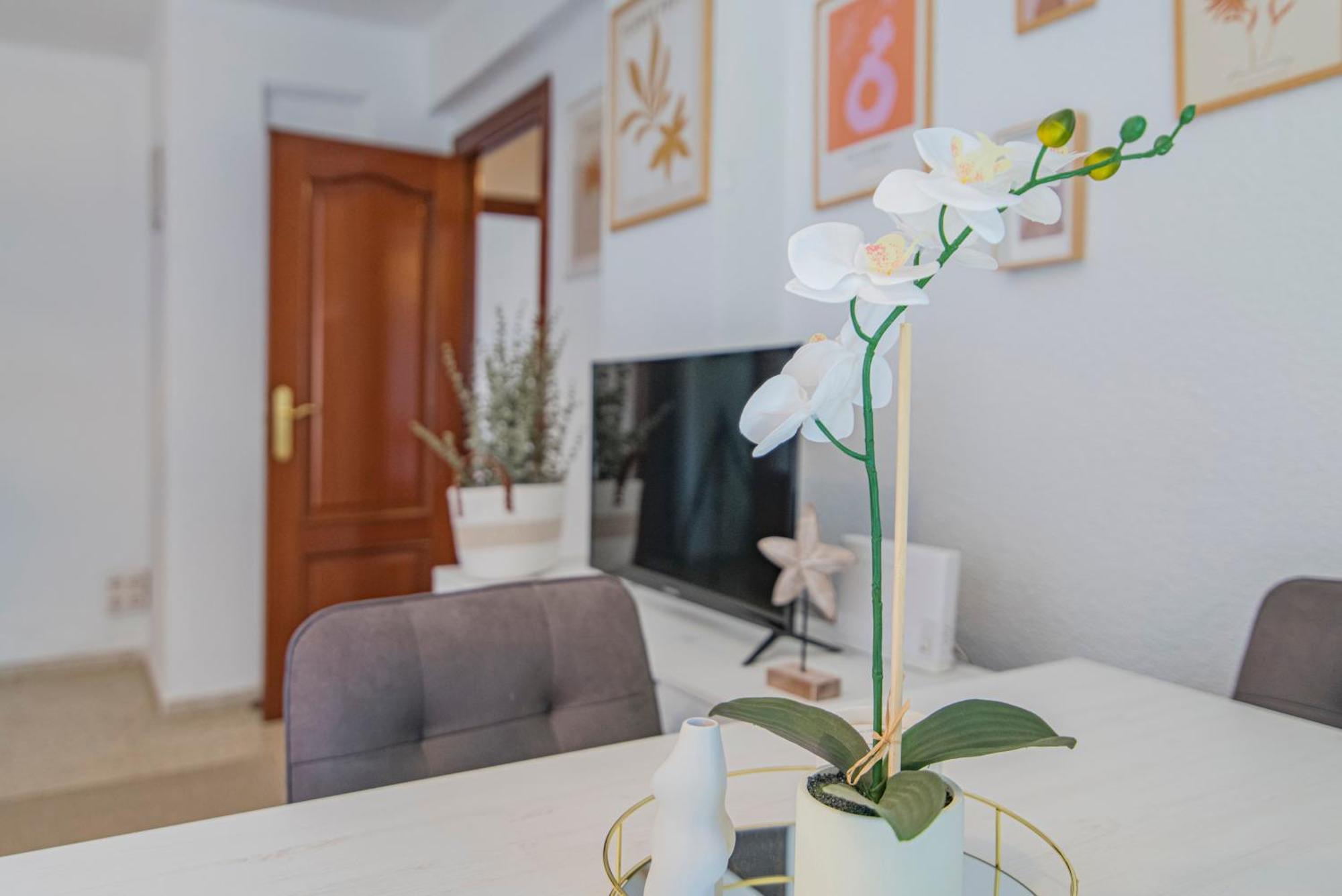 Delfin Retreat Con Terraza Junto A Parada De Metro กรานาดา ภายนอก รูปภาพ